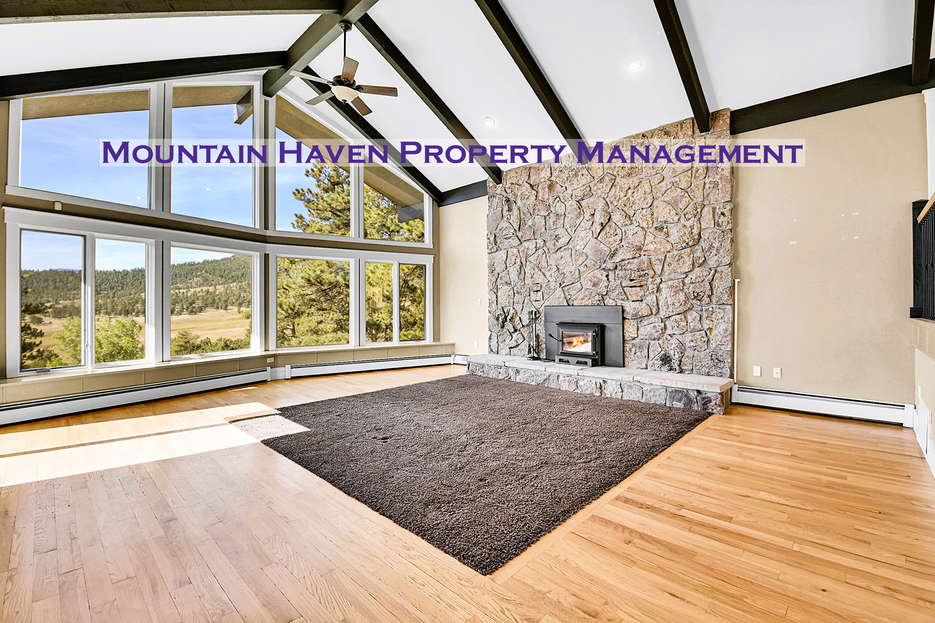 31340 Brookline Rd
